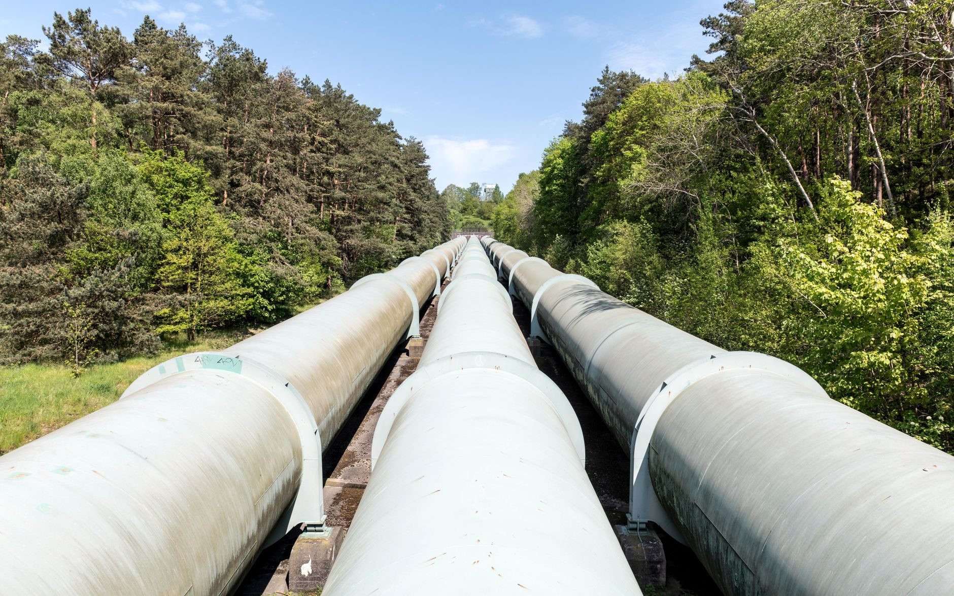 Twin above-ground pipelines running straight into a forest
